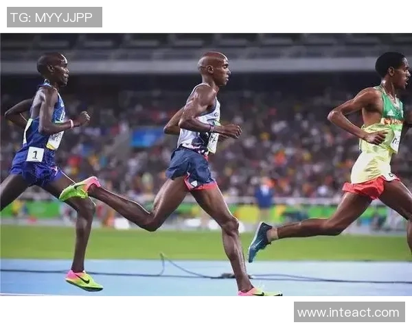 北京乒乓球队防守革新之路探索技术与战术的完美结合