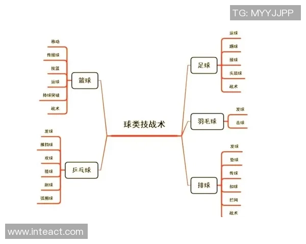 体育实时数据西安排球队区域防守革新探讨与战术解析全景呈现