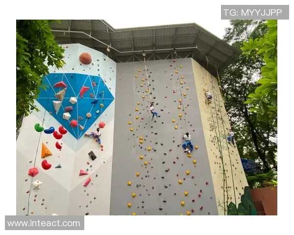 运动数据攀岩之巅深入解析北京攀岩队的训练与竞技节奏