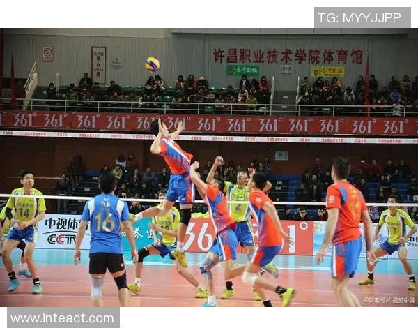 今年运动数据专访陈伟深入探讨排球背后的成功秘诀与训练哲学