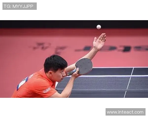 实时新闻乒乓球比赛经验排行榜揭晓北京乒乓球队荣登第一名之巅